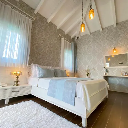 Provence Mansion Отель 2*