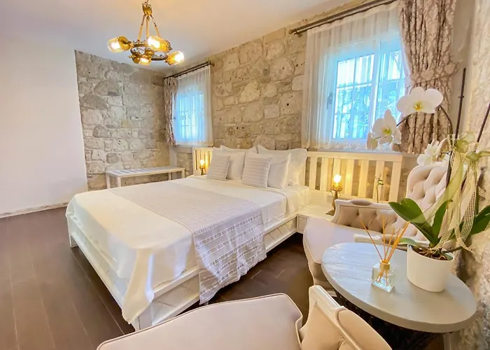 酒店 Provence Mansion