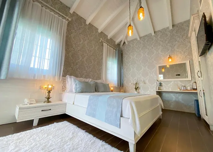 Provence Mansion 酒店 2*