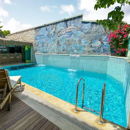 Provence Mansion Алачати