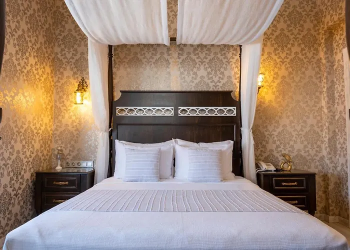 酒店 Provence Mansion 2*