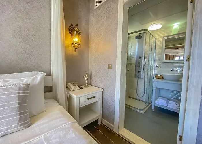 酒店 Provence Mansion 2*